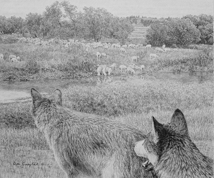 Sheep and Wolves